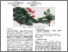 [thumbnail of Sun-etal-i3D-2018-Fluid-computational-model-for-mineral-and-vegetal-pigments-diffusing]