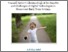 [thumbnail of Gillen-Arnott-PB-2018-Digital-Literacy-and-Young-Children-Towards-Better-Understandings-of-the-Benefits]