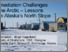 [thumbnail of Torrance-Hagedorn-SCLF-2019-Remediation-challenges-in-the-Arctic]