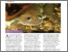 [thumbnail of Olszynko-Gryn-WH-2013-When-pregnancy-tests-were-toads-the-xenopus-test]