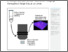 [thumbnail of Battistella-etal-iScience-2022-Light-sheet-mesoscopy-with-the-Mesolens]