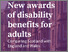 [thumbnail of Congreve-SHERU-2024-New-awards-of-disability-benefits-for-adults]