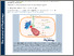 [thumbnail of Zhang-etal-JP-2025-Mitochondria-regulate-IP3-mediated-Ca2plus-release-triggered-by-voltage]