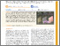 [thumbnail of Xia-etal-ACS-Nano-2025-Modulation-of-nanowire-emitter-arrays-using-micro-LED-technology]